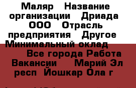 Маляр › Название организации ­ Дриада, ООО › Отрасль предприятия ­ Другое › Минимальный оклад ­ 18 000 - Все города Работа » Вакансии   . Марий Эл респ.,Йошкар-Ола г.